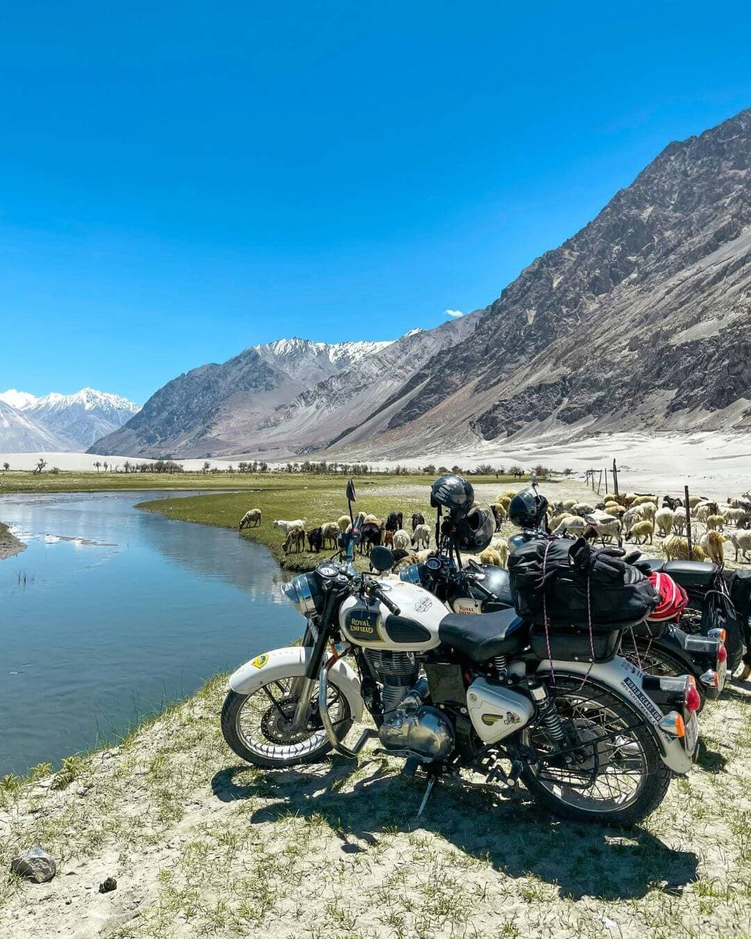Pangong Tso Lake