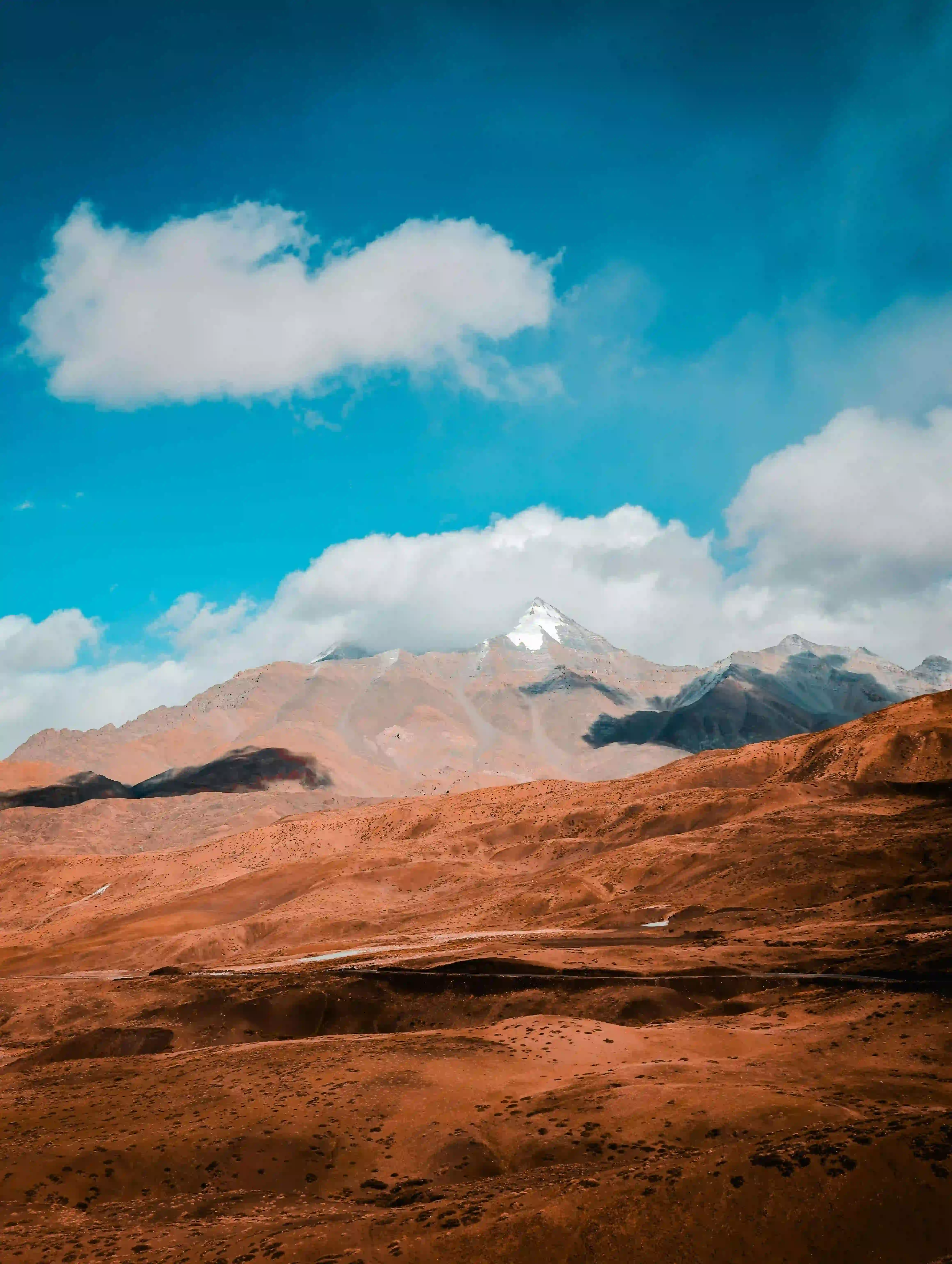 The Cold Desert