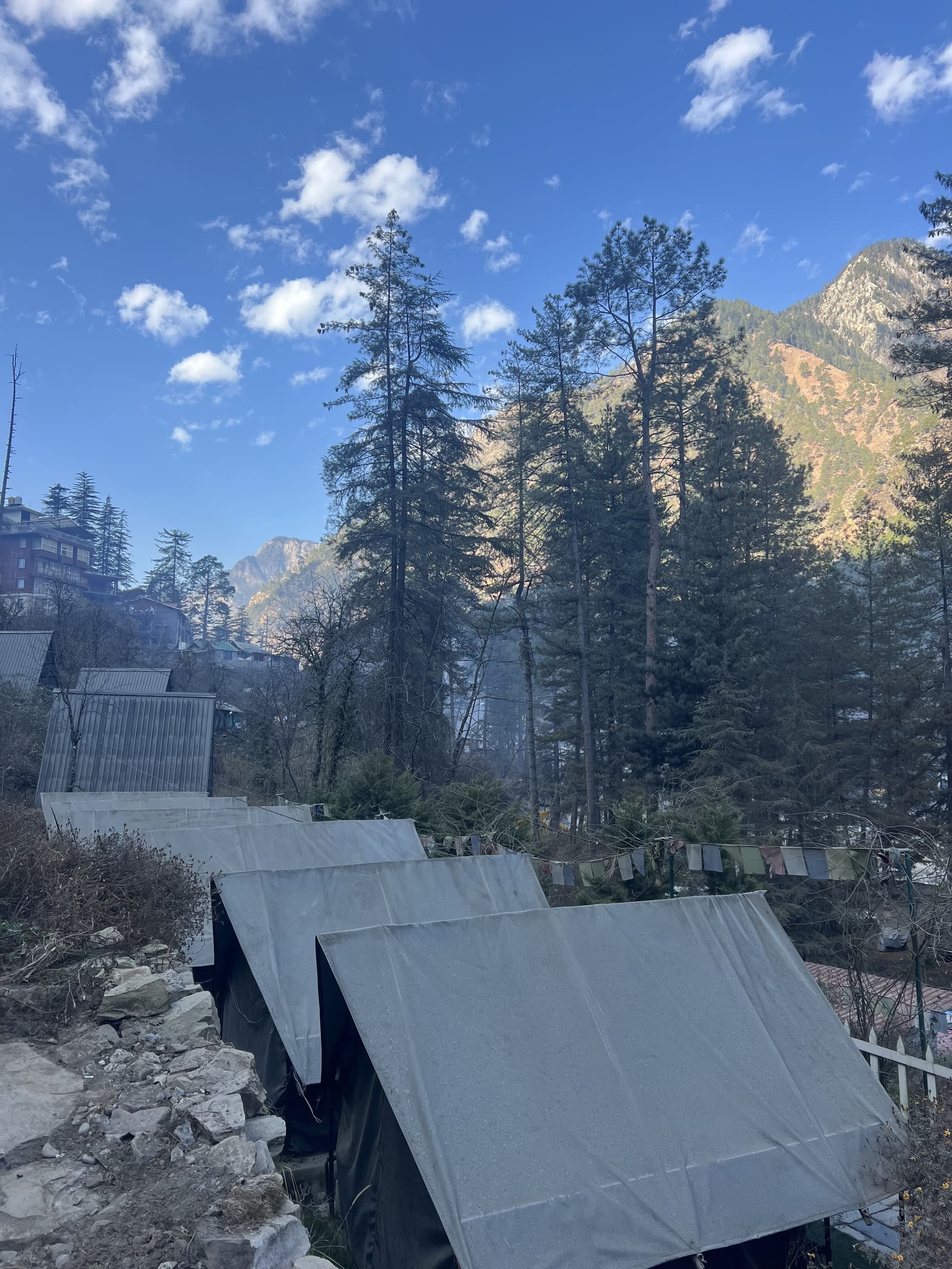 TripoMusafir camp tents set among pine trees in the Himalayas