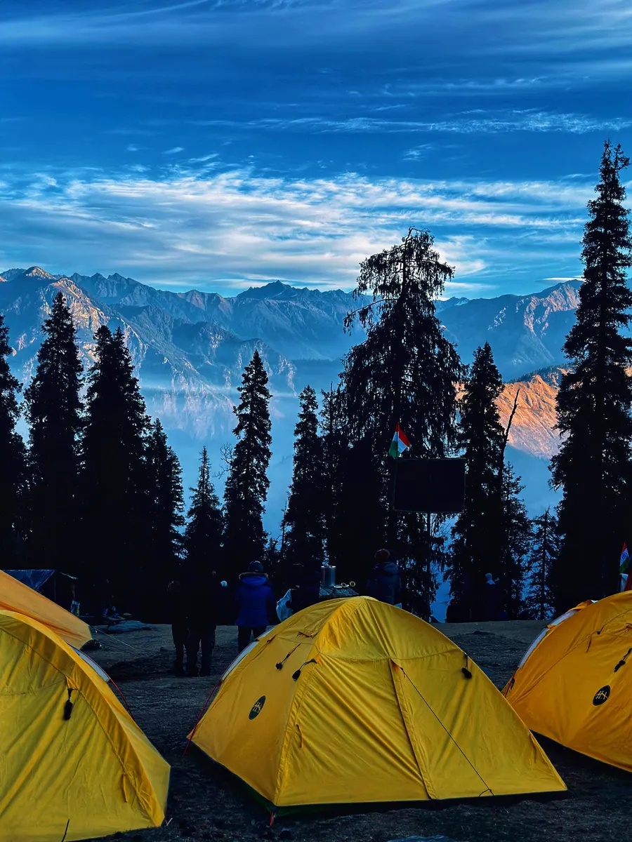 Golden-hour campsite at dusk beneath the pine forest silhouette