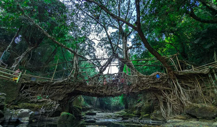 Trekkers crossing the Double Decker Living Root Bridge near Nongriat