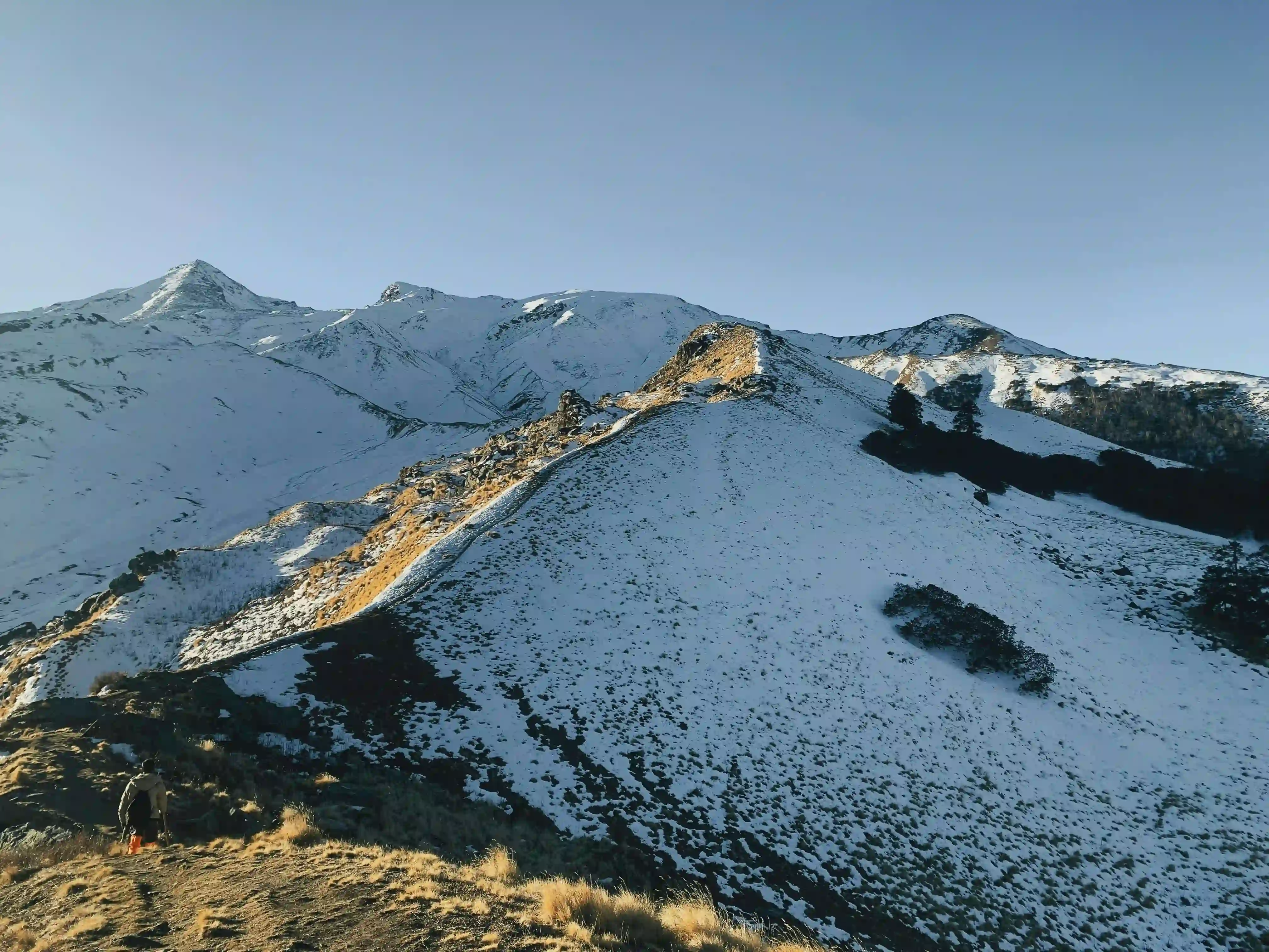 Green valley of Chika on the Hampta Pass trek
