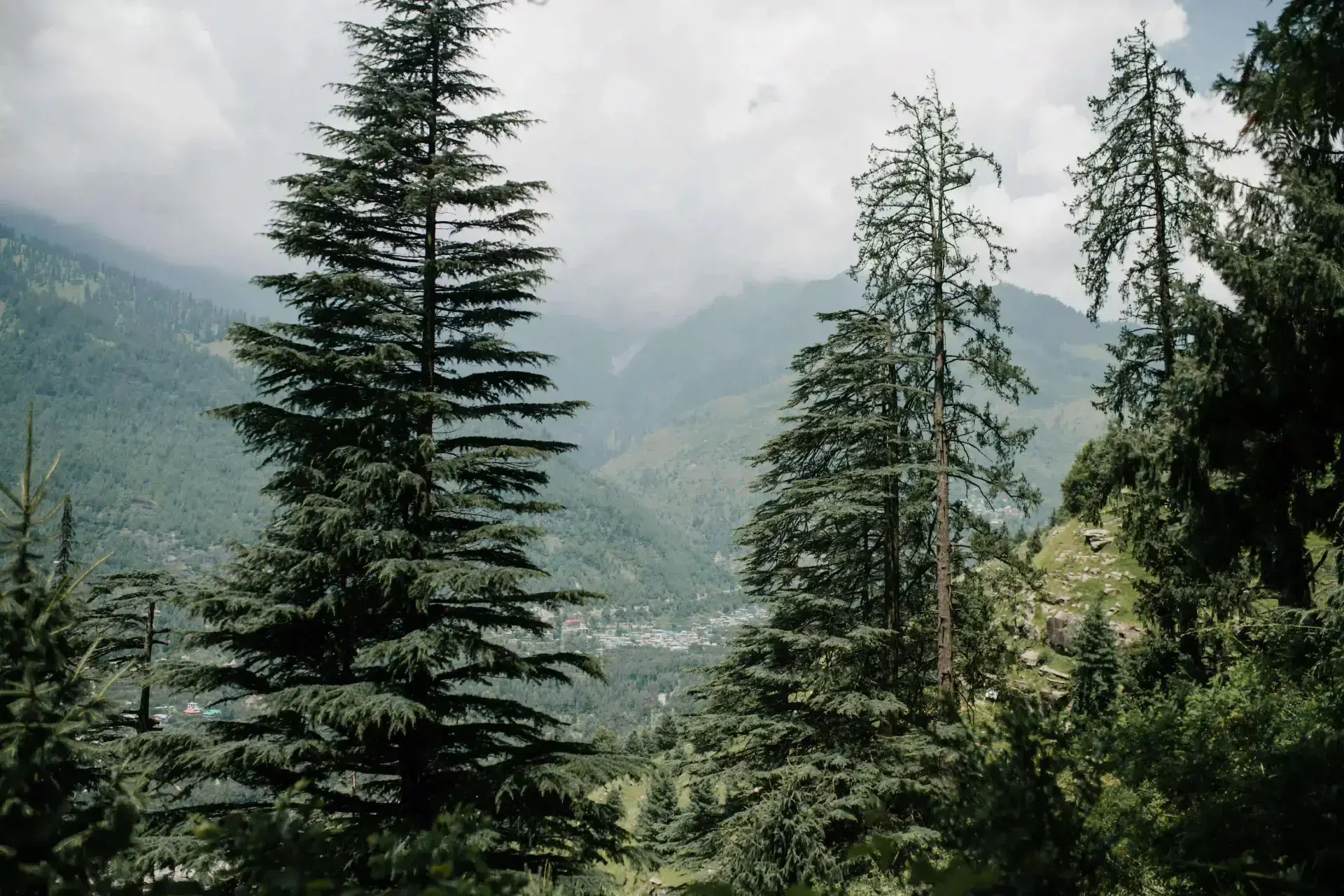 Scenic mountain road near the Atal Tunnel