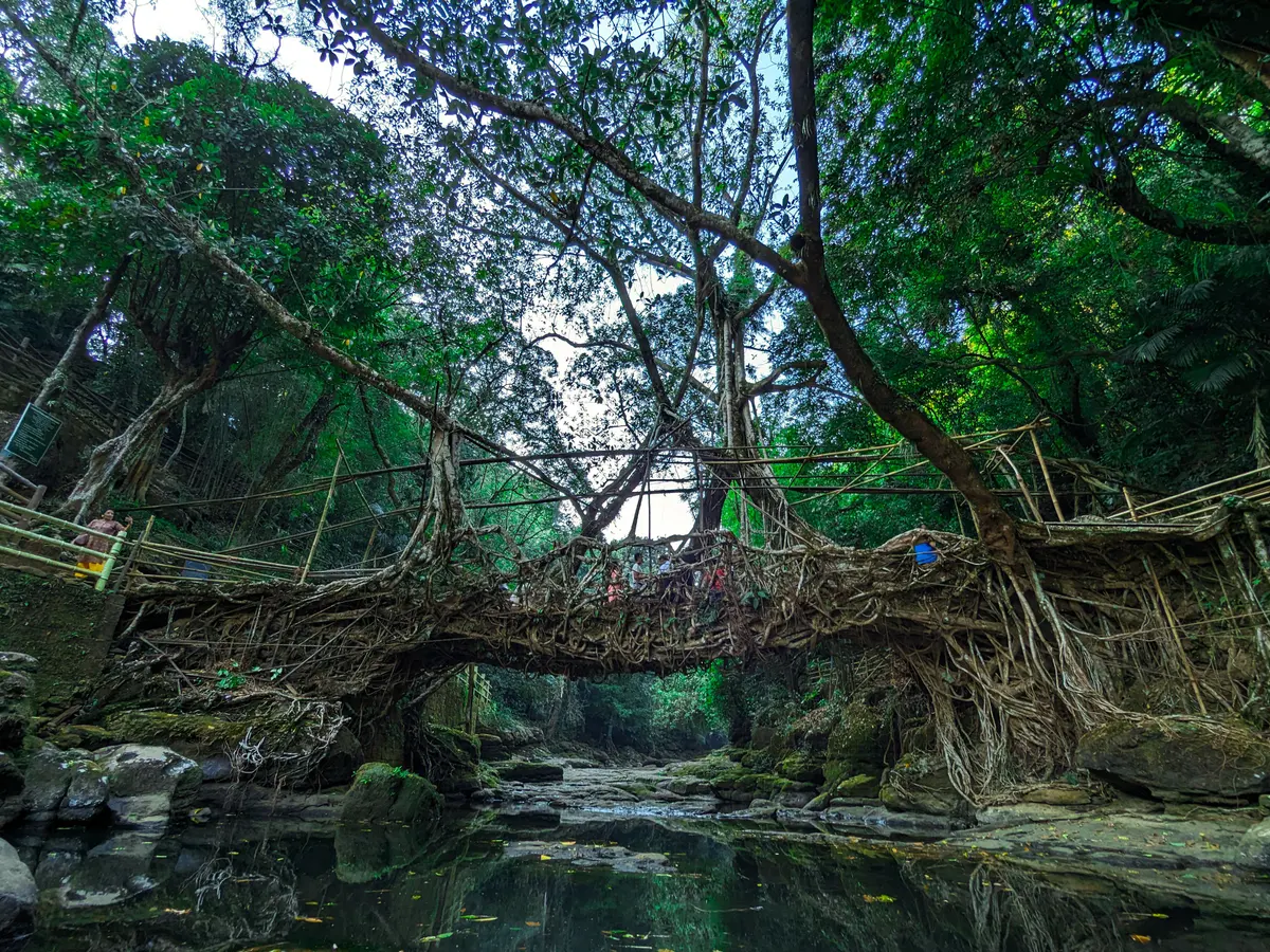 Trekkers crossing the Double Decker Living Root Bridge at Nongriat