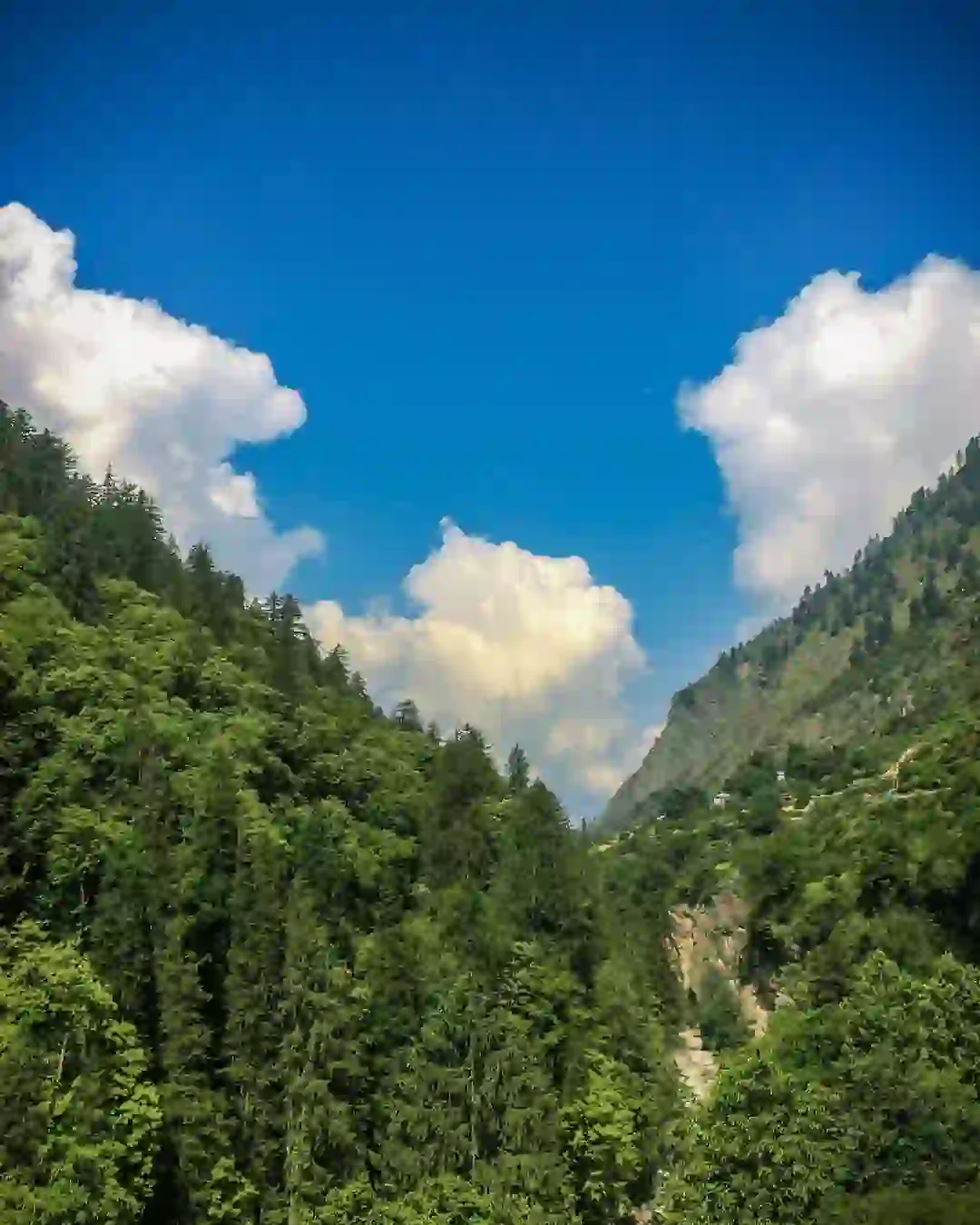 Trekker on the trail to Kheerganga in the Parvati Valley