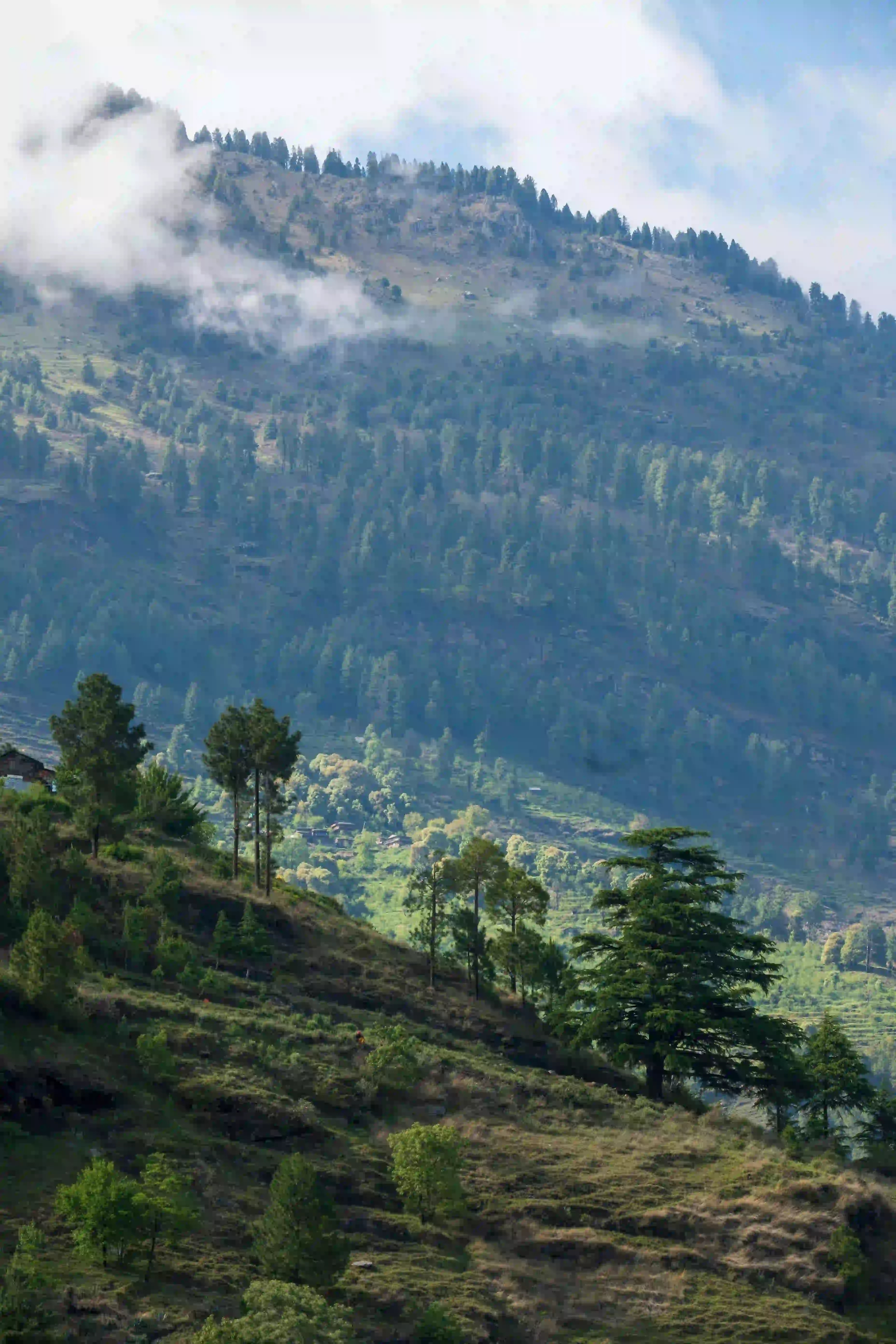Trekker crossing alpine meadows on the Bhrigu Lake trail