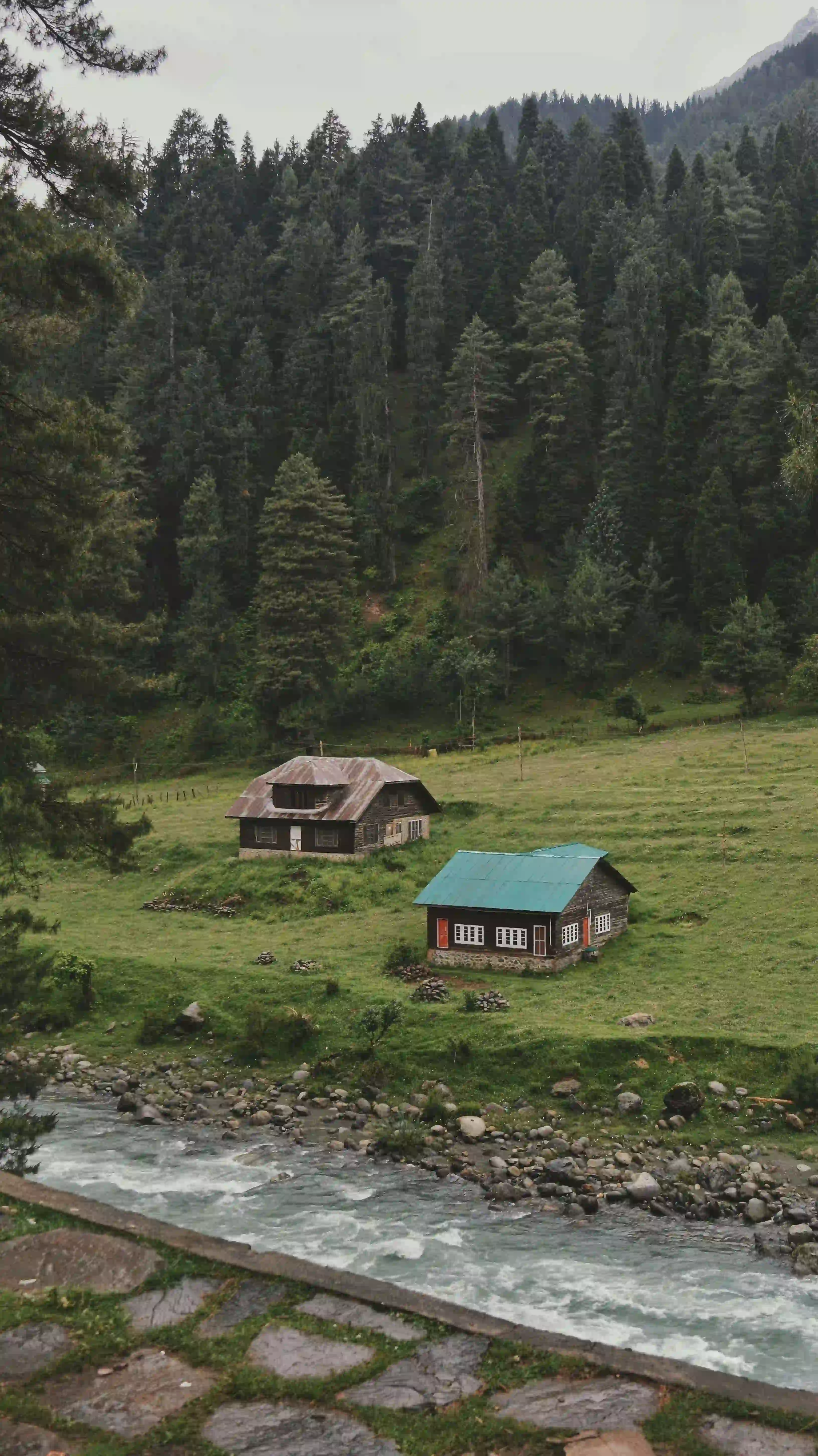 Pony ride toward Thajiwas Glacier in Sonmarg