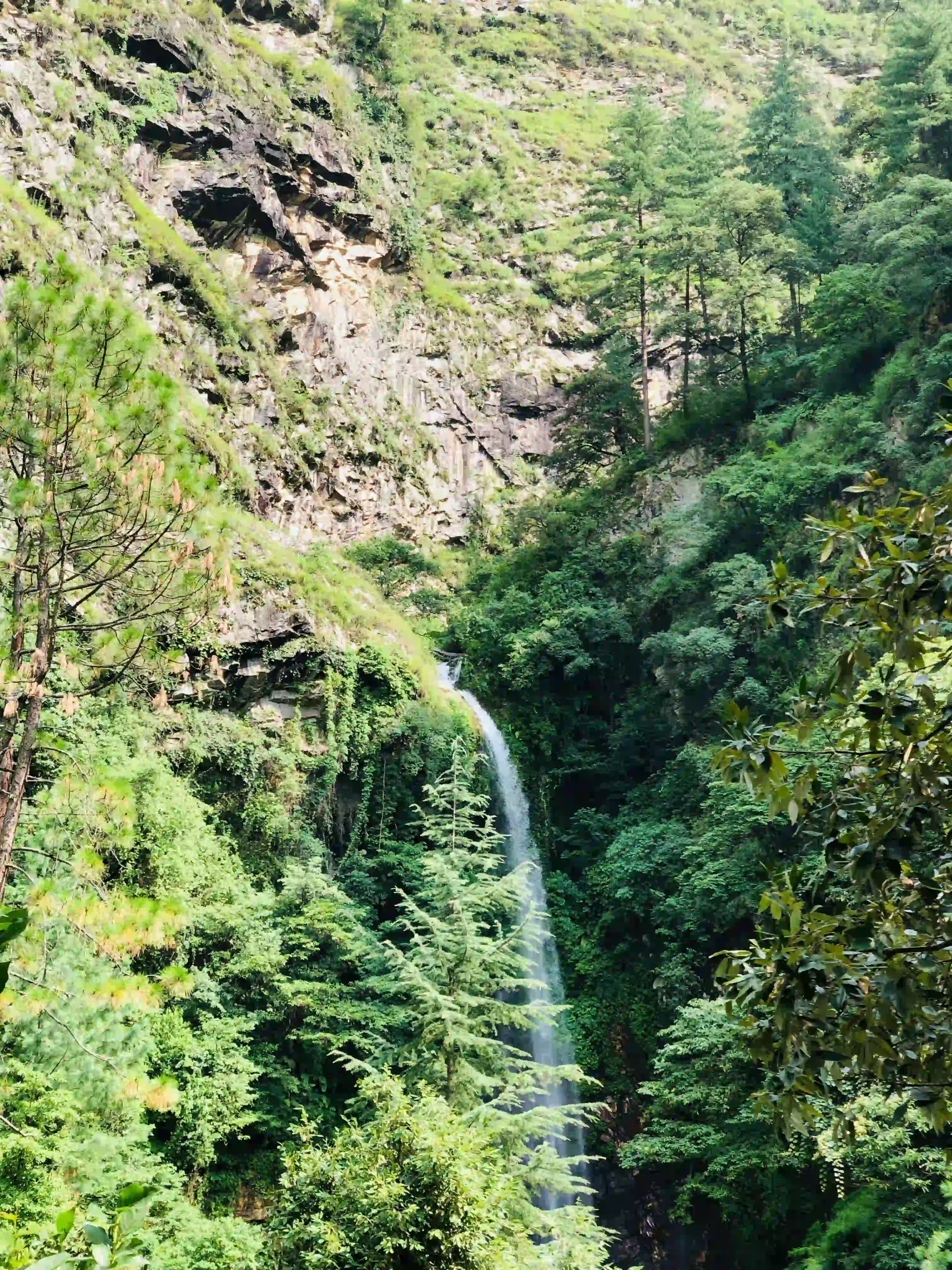 Traveler exploring Sharchi village in the Jibhi region