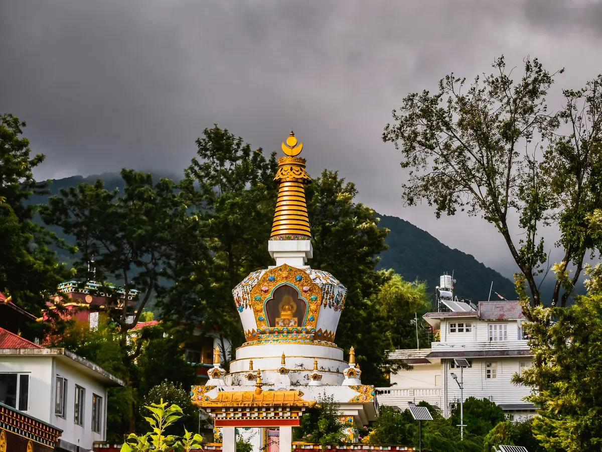 The golden stupa rising against the forested hills of Bir